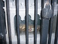 20090802_095630_P1020356