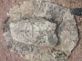 20090802_173411_P1020464