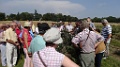 20120727_162354_Boussac_GG_DSC00184