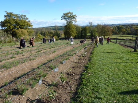 20101030 Creuse Safraniere de Fontanieres 19103cf7