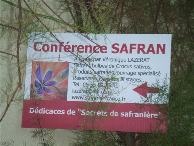 20101030 Creuse Safraniere de Fontanieres m2bb52bb1