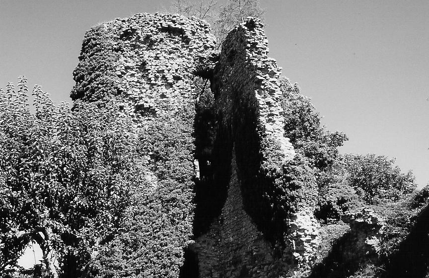 image002