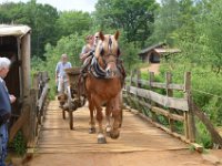 20160611 110920 Guedelon GCG 1730  Visite château de Guédelon    Nikon D7000 11/06/2016 11:09 Gérard Gadaud © Amis de la Creuse - Creusois de Paris : Bourgogne-Franche-Comté, Château de Guédelon, FRA, France, Treigny
