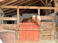 20160611 142448 Guedelon GCG 1750  Visite château de Guédelon    Nikon D7000 11/06/2016 14:24 Gérard Gadaud © Amis de la Creuse - Creusois de Paris : Bourgogne-Franche-Comté, Château de Guédelon, FRA, France, Treigny