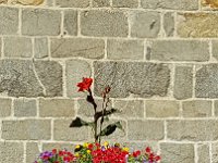 20160820 120007 Chambon Sur Voueize SG  Chambon sur Voueize    Samsung 20/08/2016 12:00 Suwimon Gadaud © Les Amis de la Creuse - Les Creusois de Paris : Aquitaine-Limousin-Poitou-Charentes, Chambon-sur-Voueize, FRA, France