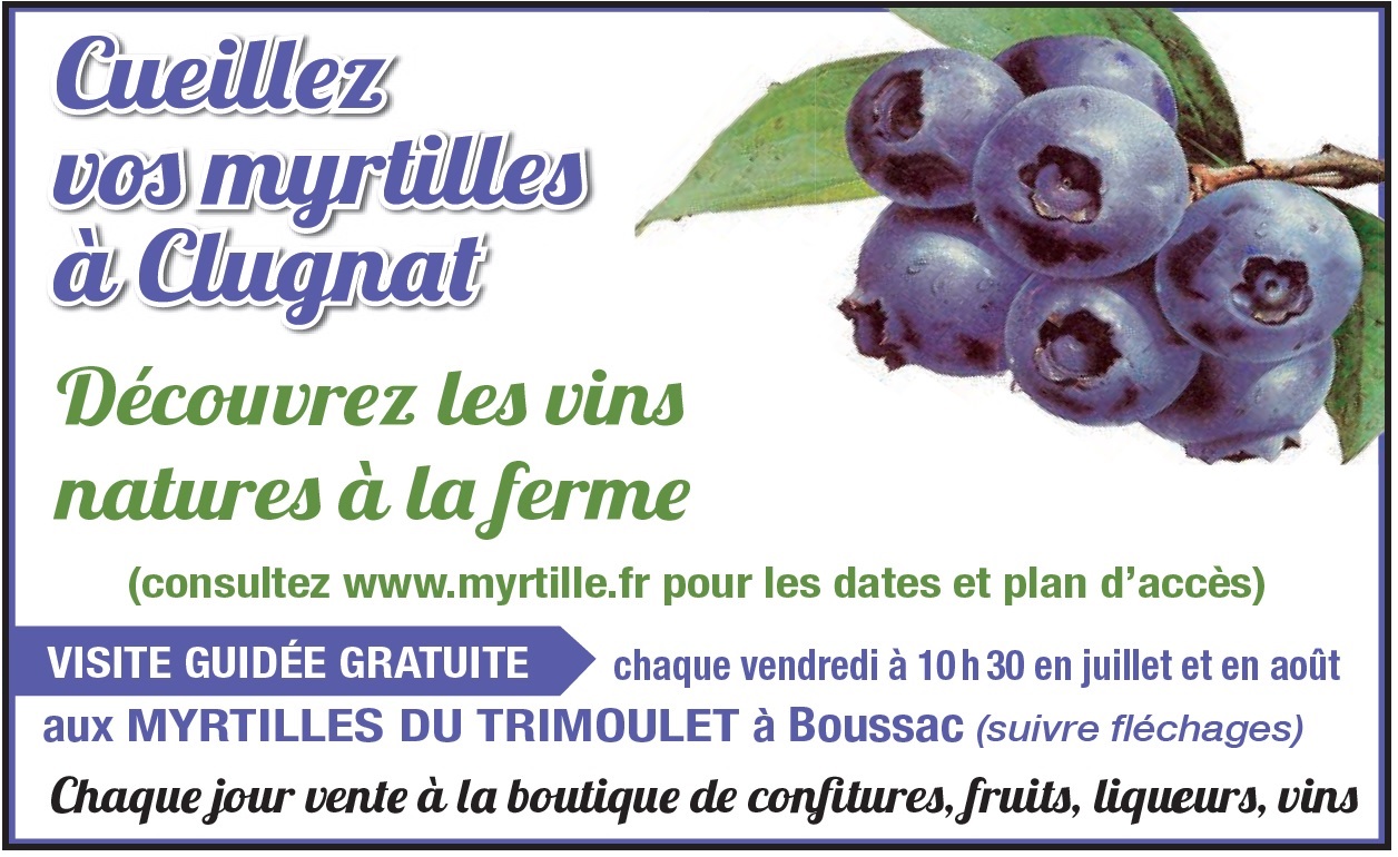 myrtilles Trimoulet 001